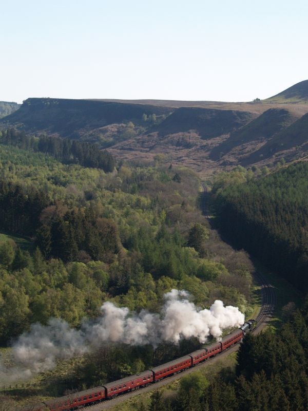NYMR 175th