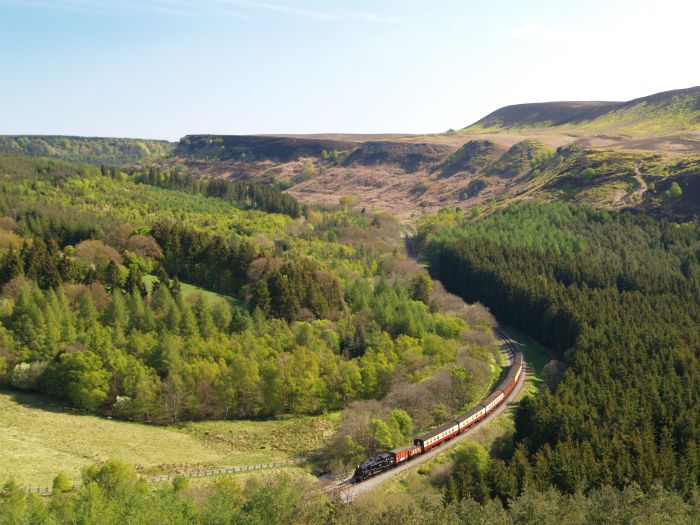 NYMR 175th