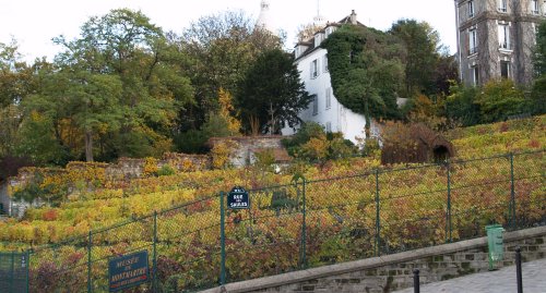 The only surviving vineyard left in Paris, below the centre of the 'artistic' centre of Montmartre. A pleasant peaceful place away from the hub of the busy 'cafe-gallery-street artist' Montmartre.