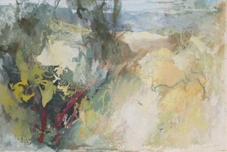1d. Eden Valley, Cumbria, woodland study 1