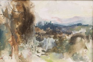 1e. Eden Valley, Cumbria, woodland study 2