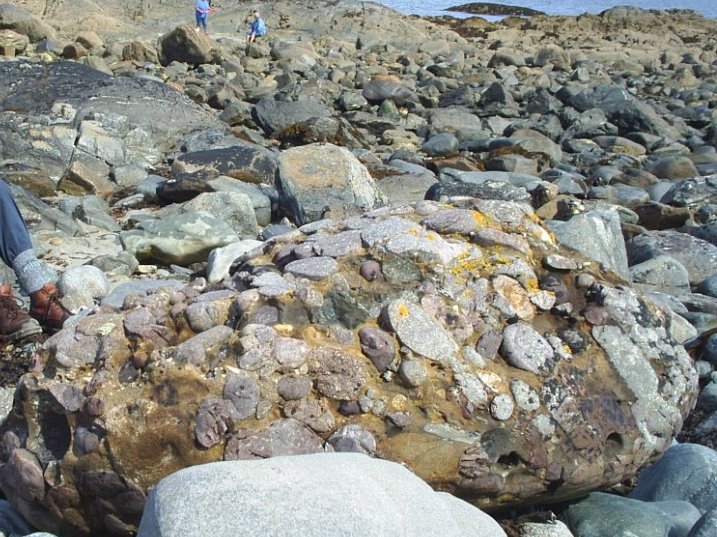4. Conglomerate rock boulder, Renvyle beach, Renvyle peninsular, Connemara, Co. Galway