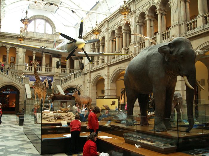Sir Roger the stuffed Asian elephant, Kelvingrove art gallery museum, Glasgow, Scotland