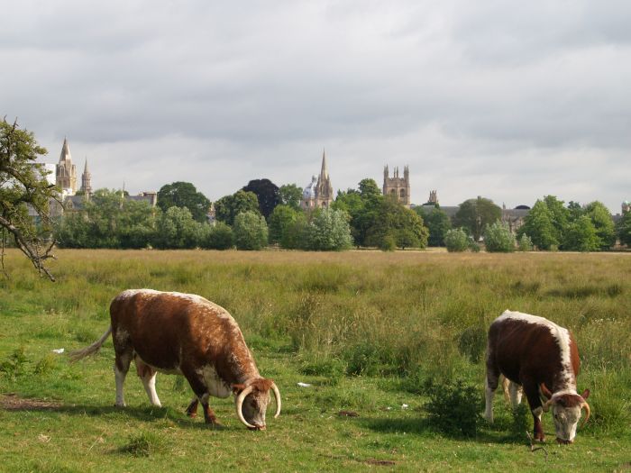 Oxford