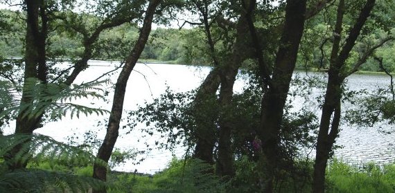 The path skirts by the lake before heading for Southwoods Lodge.