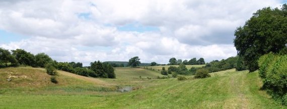 Heading across the fields towards Tang Hall.