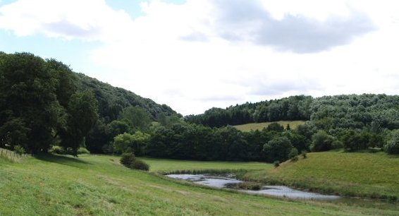 The small lake before reaching Tang Hall.