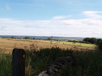 East of Hambleton House - Walking from Sutton Bank National Park Visitor Centre, North York Moors National Park, North Yorkshire, Northern England