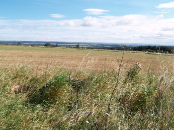 Cote Moor Road - Walking from Sutton Bank National Park Visitor Centre, North York Moors National Park, North Yorkshire, Northern England