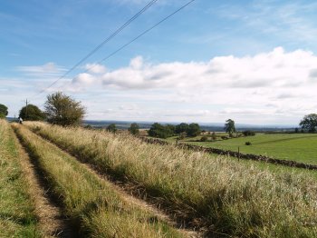 Cote Moor Road - Walking from Sutton Bank National Park Visitor Centre, North York Moors National Park, North Yorkshire, Northern England