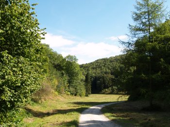 Then back up the Cleveland Way to head north-west through upper Nettle Dale to rejoin Walk 4 - Walking from Sutton Bank National Park Visitor Centre, North York Moors National Park, North Yorkshire, Northern England
