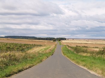 the Cleveland-Hambleton Road, used for centuries as a drove road to move cattle from Scotland to London and the south of England - Walking from Sutton Bank National Park Visitor Centre, North York Moors National Park, North Yorkshire, Northern England