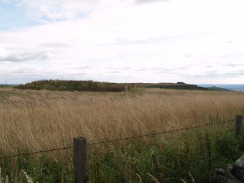 Just south of the Hill Fort Windypits is a flat grassy knoll of a tumulus - an ancient bronze age burial mound (500 to 1500 BC, i.e. 2500 - 3500 years old!), so the remains of this high status citizen looks out over the Vale of York. - Walking from Sutton Bank National Park Visitor Centre, North York Moors National Park, North Yorkshire, Northern England