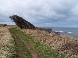 Kettleness, North Yorkshire Coast, England