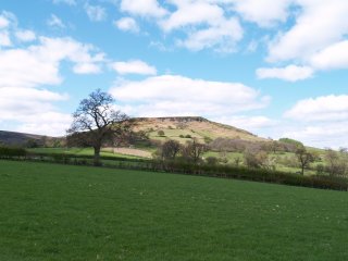 Daffy Walk, Farndale, North Yorkshire, England