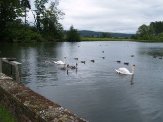 the lake below the entrance to Newburgh Priory