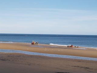 a splendid beach to walk on - Redcar, Cleveland, North-East England