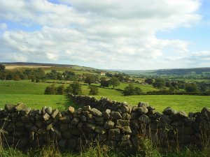 Lots of lovely walking country around in Danby Dale, Oakley Walls and over towards Castleton.