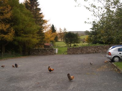 Langthwaite Village, Arkengarthdale, Yorkshire Dales, North Yorkshire, Northern England