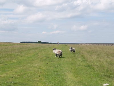 The green road a few miles above Hawnby Village, North Yorkshire, England