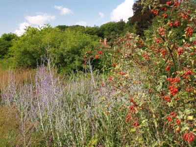 Walled Garden, Scampston Village, North Yorkshire, Northern England
