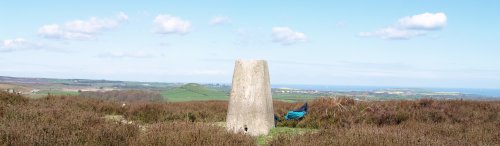 The old trig point on Siss Cross Hill, the highest point on Danby Low Moor