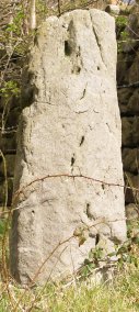 Possibly a prehistoric standing stone near Rosedale Intake