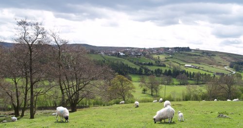 Castleton on the ridge, viewed from the Castleton-Danby path through Park Wood.