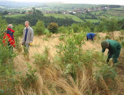 Conservation work in Park Wood, Castleton-Danby