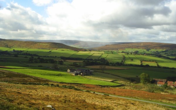 View across Westerdale from above the Westerdale side road
