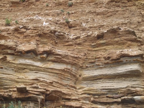 The weather beaten rocks on the south facing cliff.