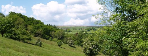 You walk through some most pleasant countryside down into the valley of Wheeldale Beck starting from by the side of the Mallyan spout Hotel.