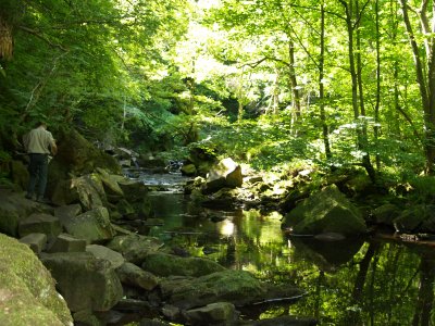 The path is a bit of a rocky-muddy scramble in places, so take care!