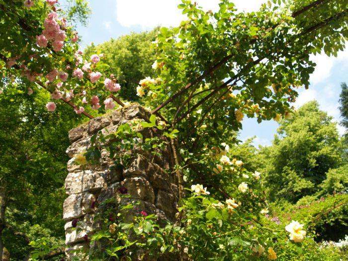 Newby Hall Gardens