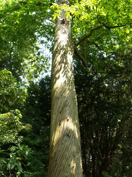 Newby Hall Sculpture Walk Art exhibitions