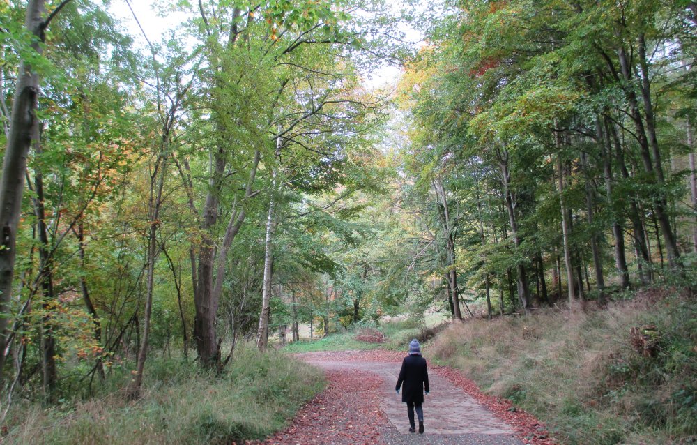 Walking around Duncombe Park Estate