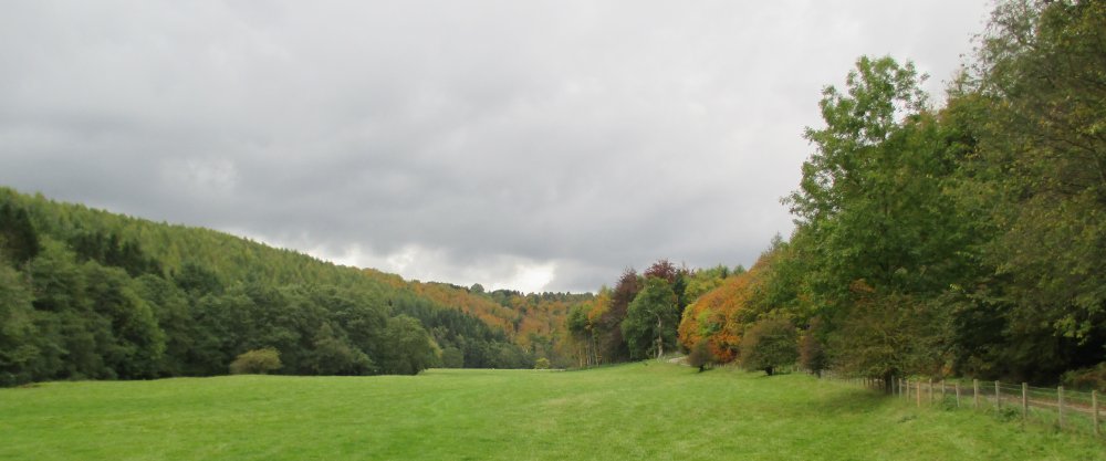 Walking around Duncombe Park Estate