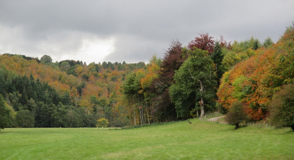Walking around Duncombe Park Estate