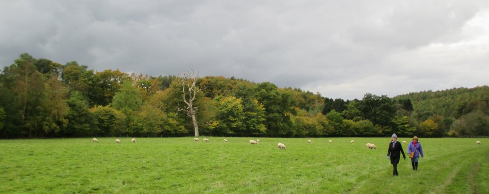 Walking around Duncombe Park Estate