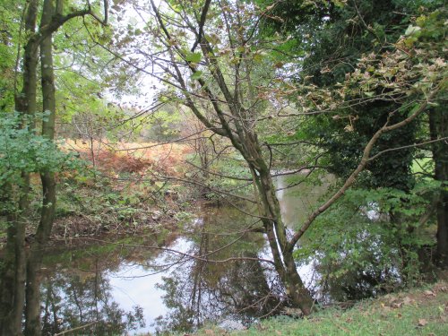 Walking around Duncombe Park Estate