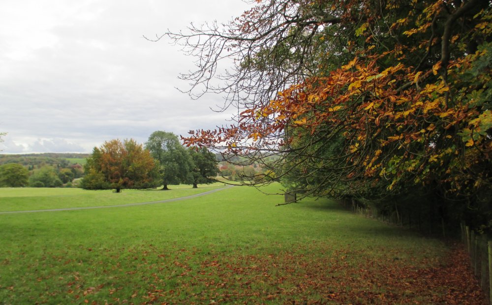 Walking around Duncombe Park Estate