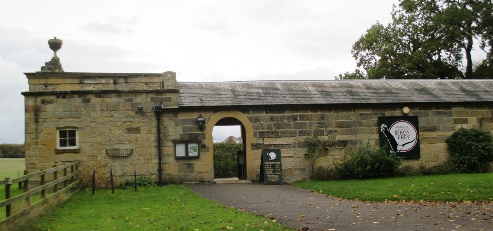 Walking around Duncombe Park Estate