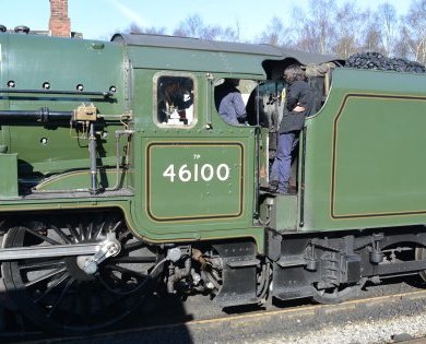 46100 ROYAL SCOT