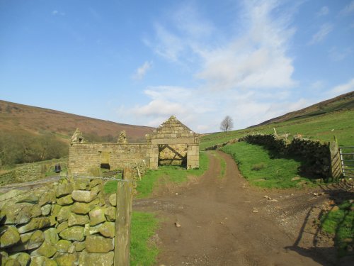 Daffy Walk, Farndale, North Yorkshire, England