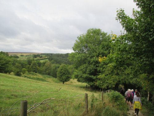 Mallyan Spot Walk from Goathland