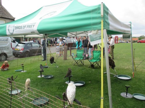 Goathland birds of prey