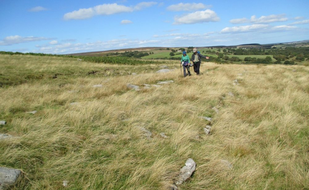 Roman Road walk Wheeldale Moor