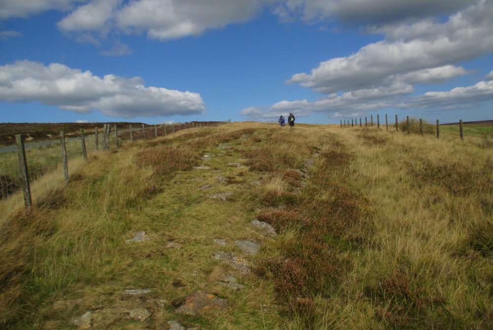 Roman Road walk Wheeldale Moor