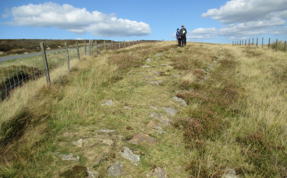 Roman Road walk Wheeldale Moor