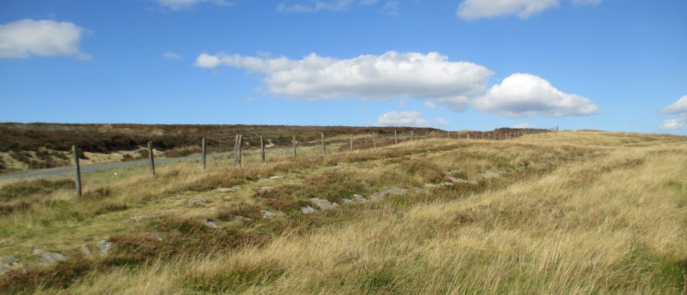 Roman Road walk Wheeldale Moor